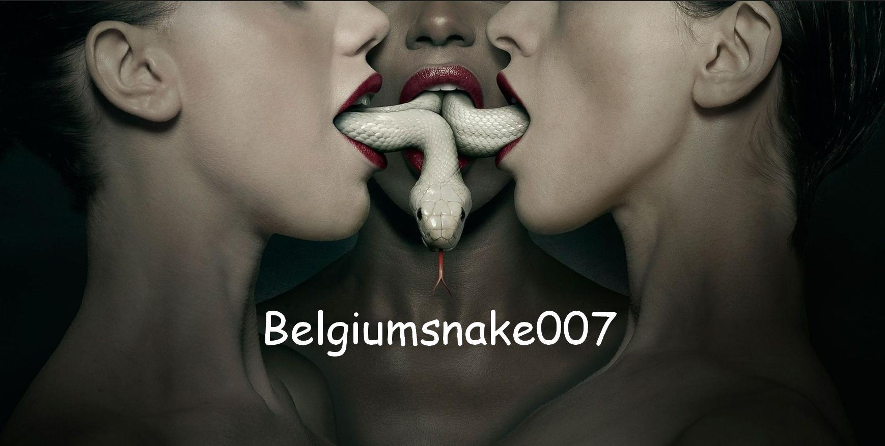 Belgiumsnake007's Profile