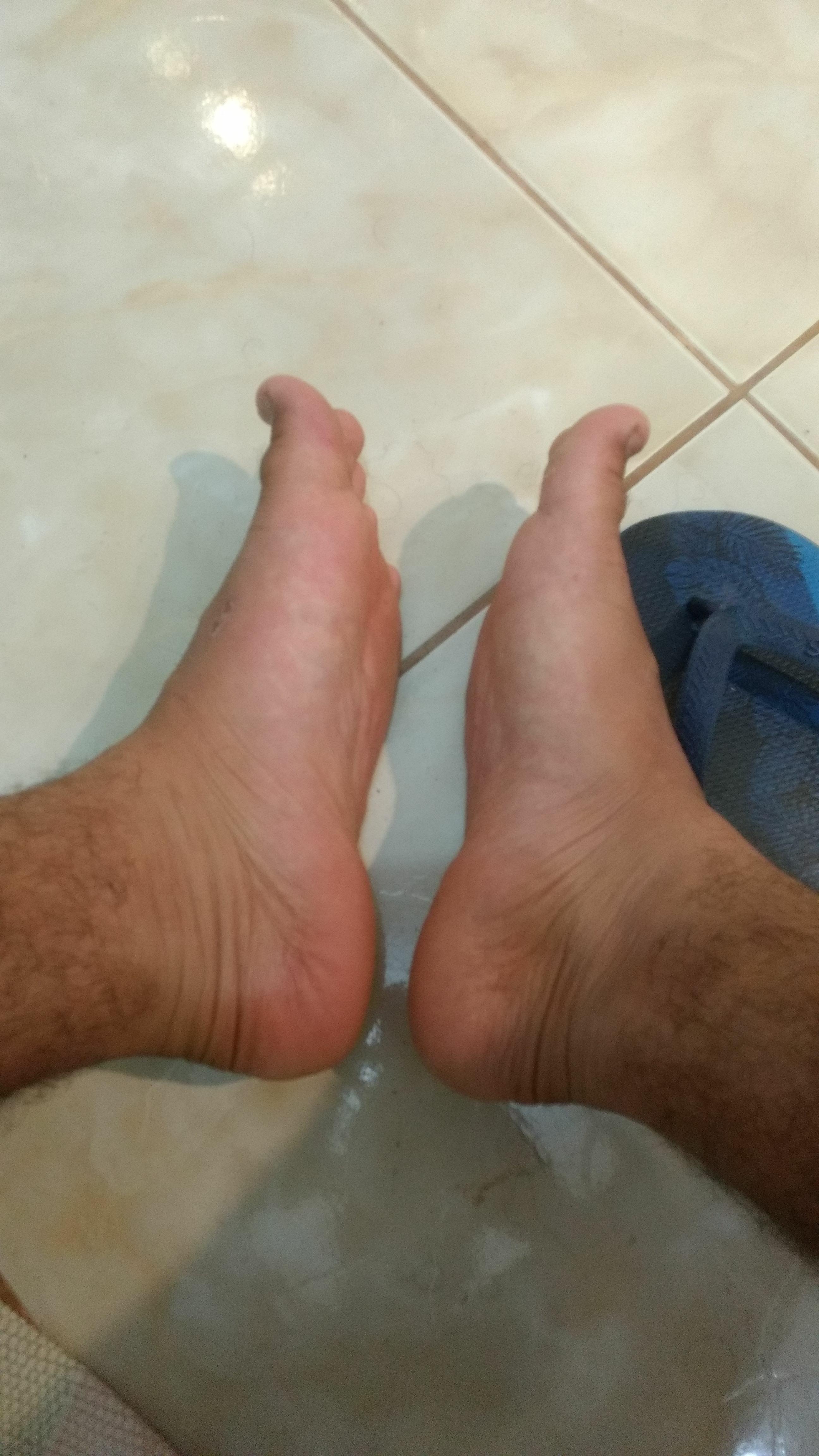 Brfeetpig's Profile