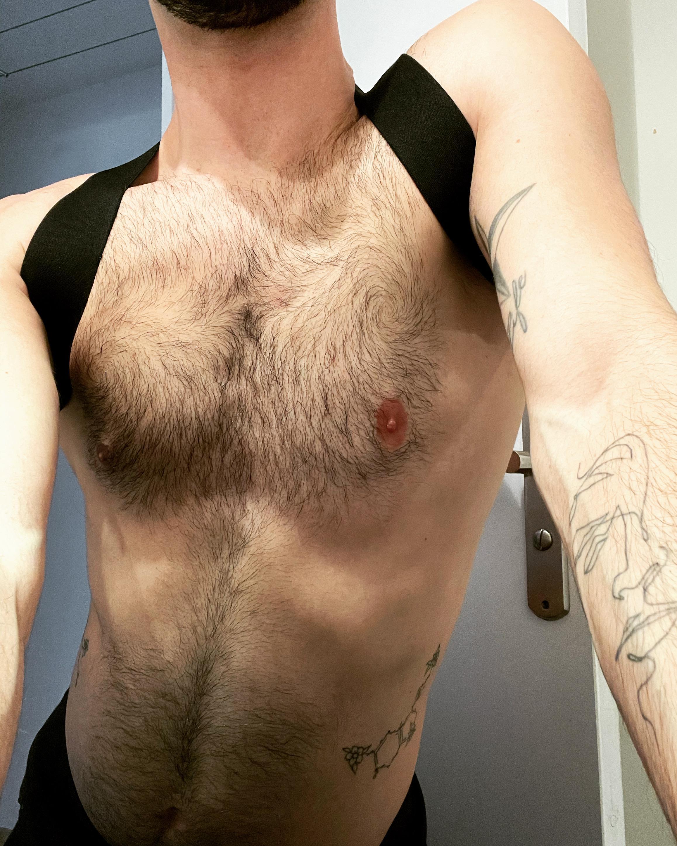 HairyFrenchGay's Profile