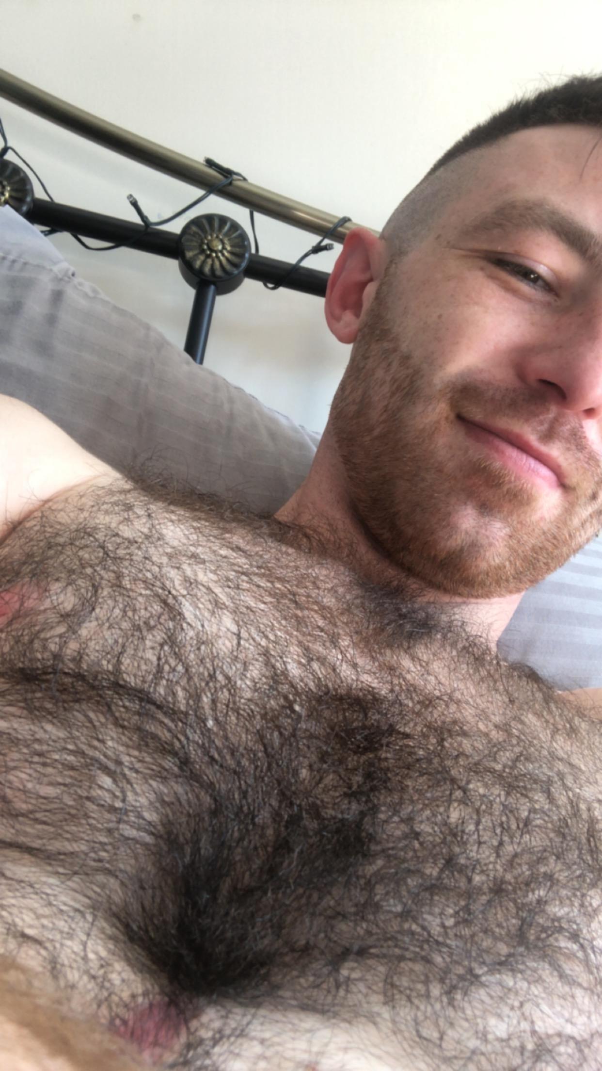 hunghairy_xxx's Profile