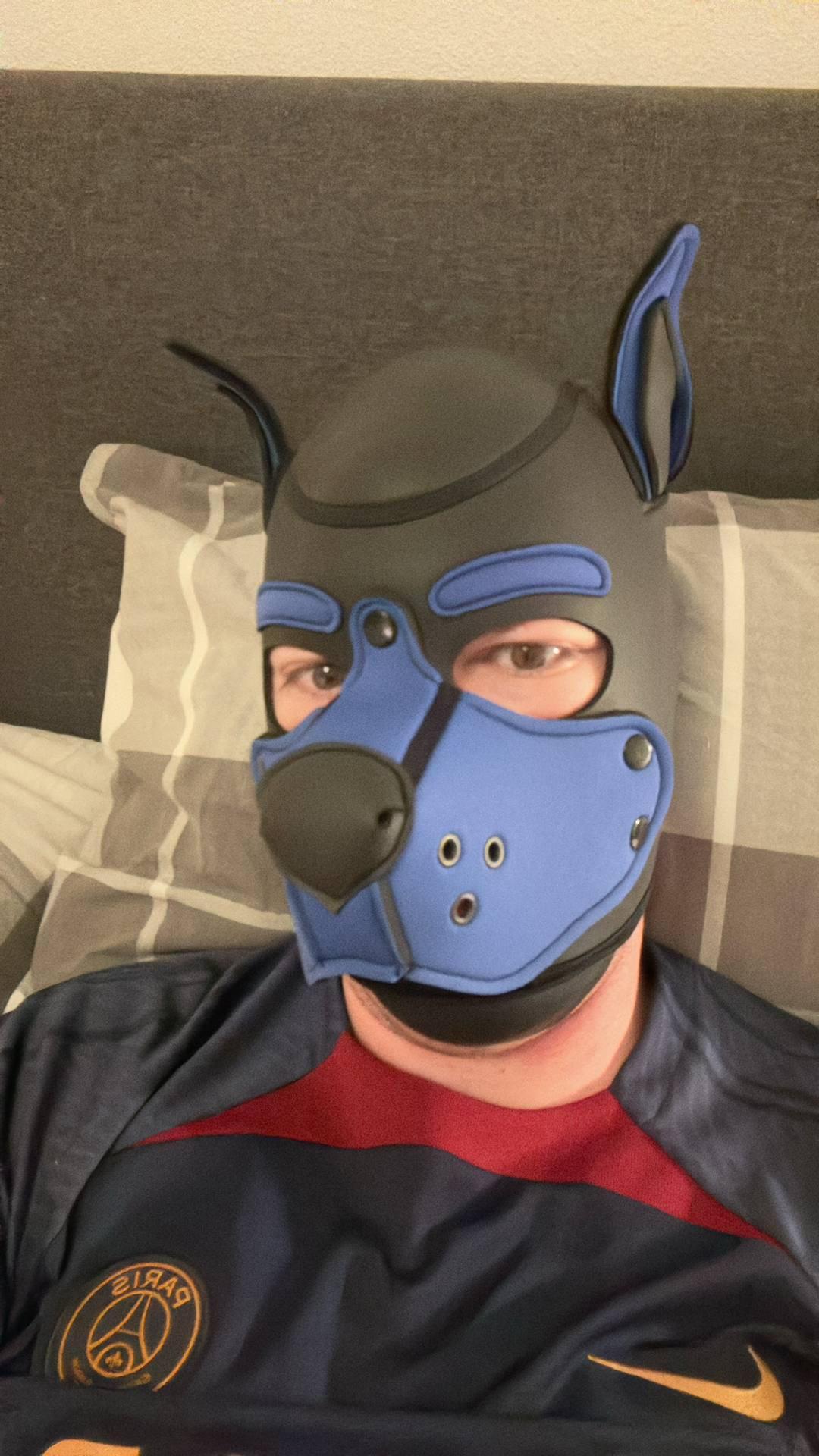 pupbojo's Profile